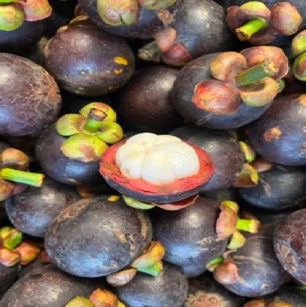 Mangosteen