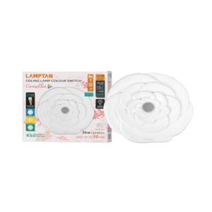 โคมซาลาเปา ครอบแก้วครึ่งวงกลม -dia. 8" (หลอด INC 40-60W)