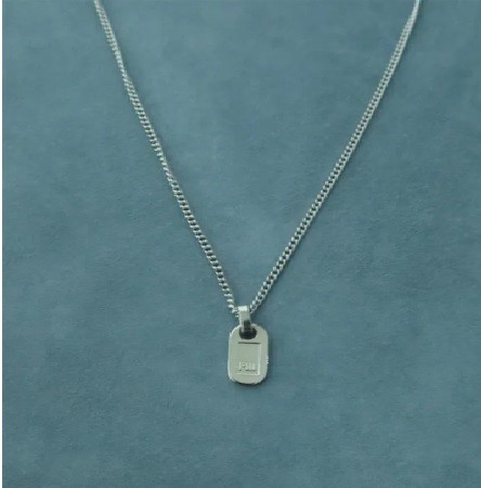 Mini Taylor Name Tag necklace