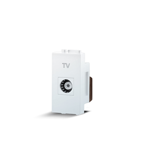 เต้ารับโทรทัศน์