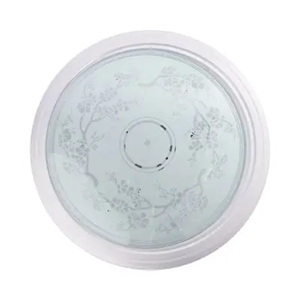 ติดเพดานครอบแก้ว dia 10 นิ้ว