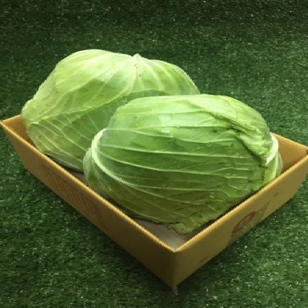Cabbage