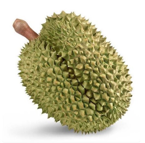 Durian
